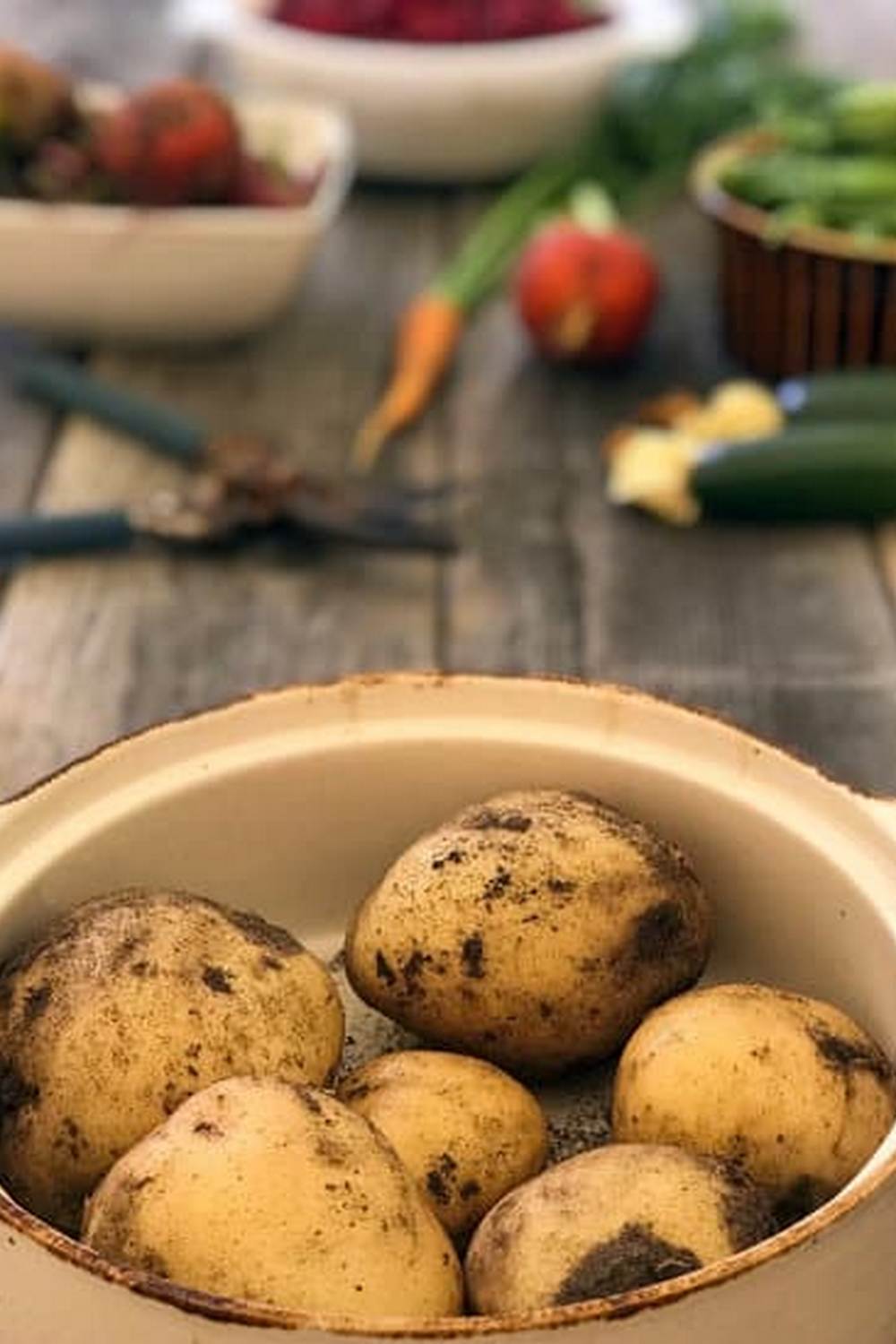 a guide to growing your own produce at home all year round