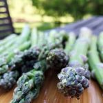 Easy Organic Vegetable Gardening guide by Ace McCloud, making gardening enjoyable and sustainable