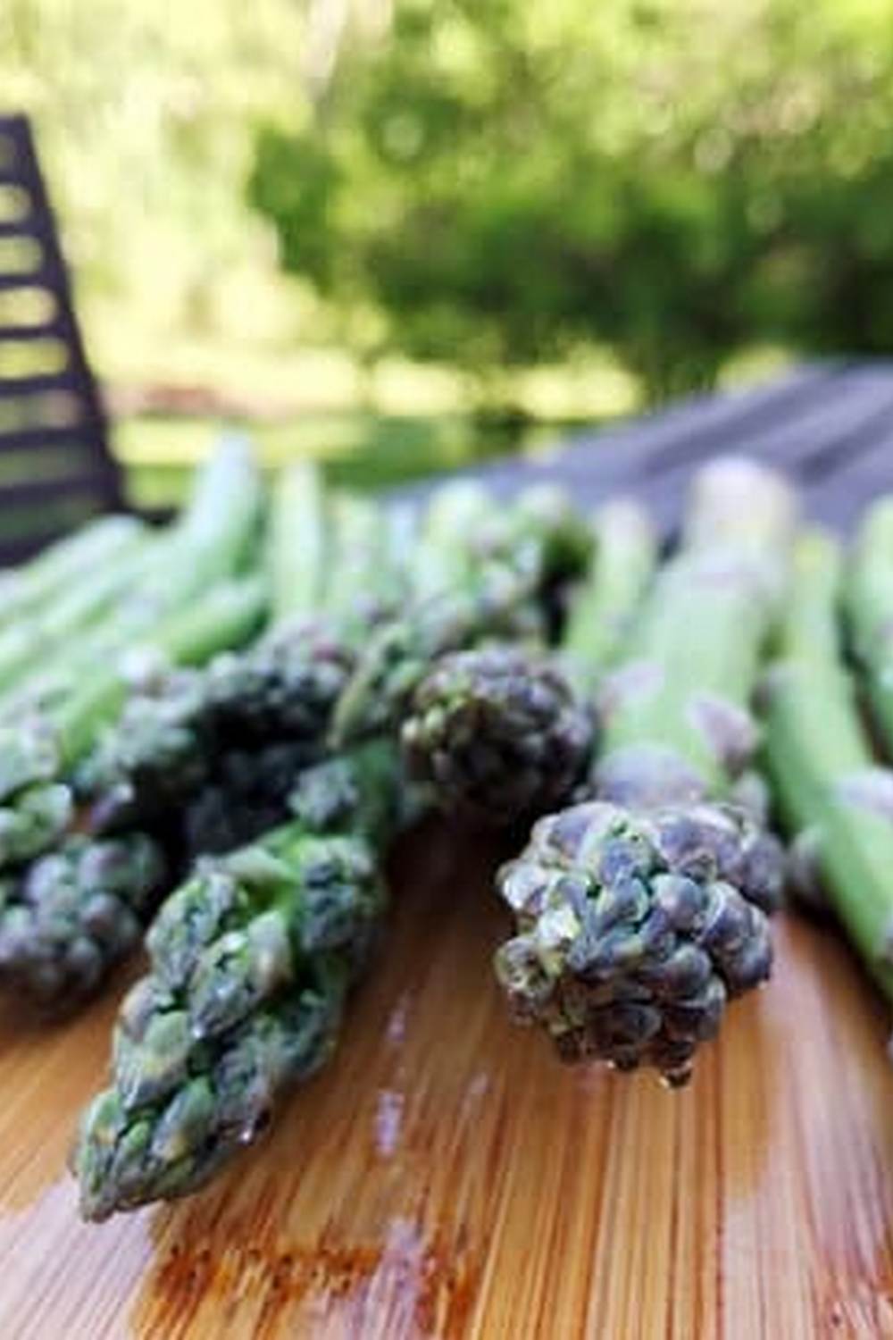 Easy Organic Vegetable Gardening guide by Ace McCloud, making gardening enjoyable and sustainable