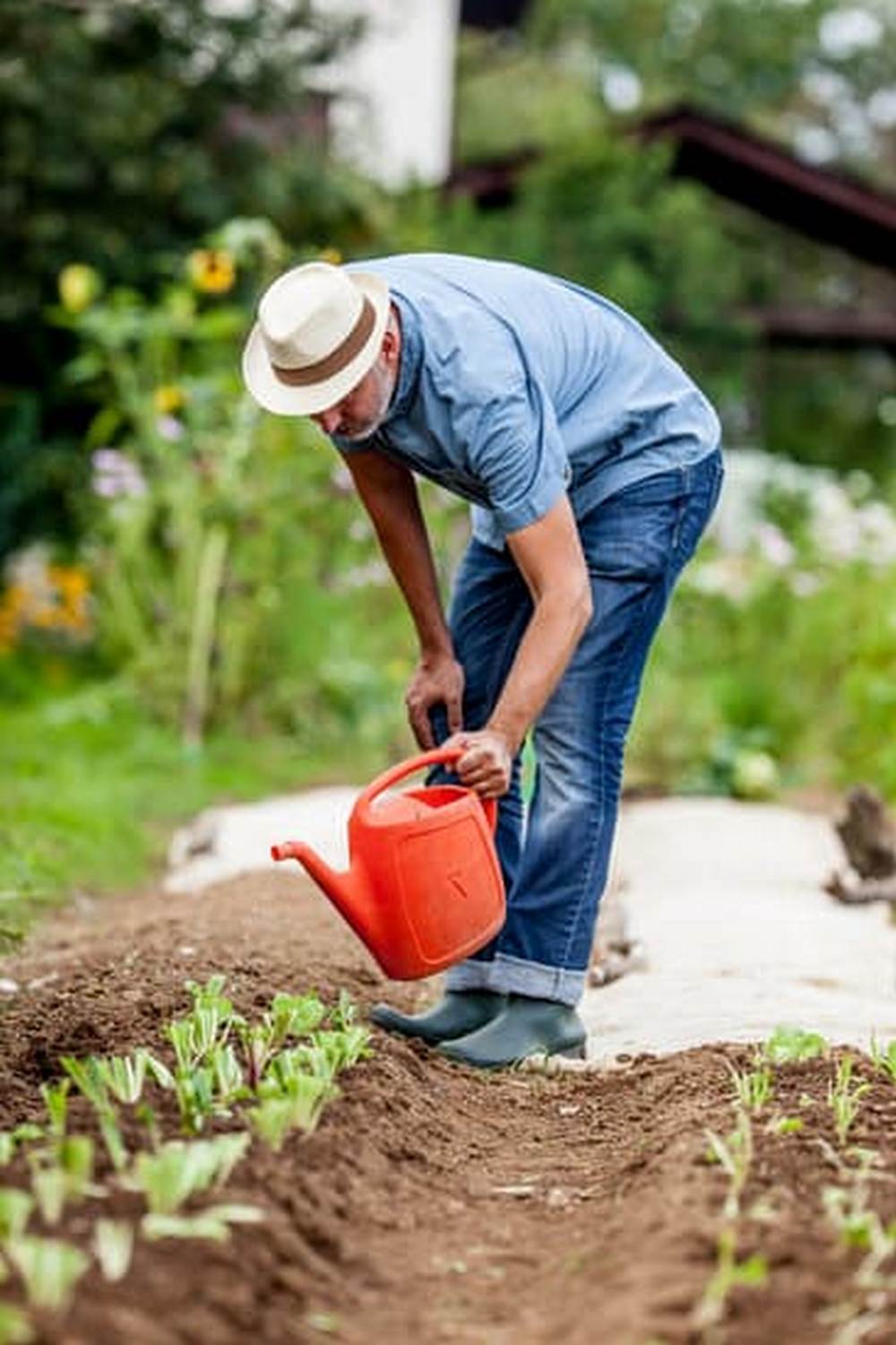 Beautiful and bountiful backyard oasis for growing your favorite vegetables