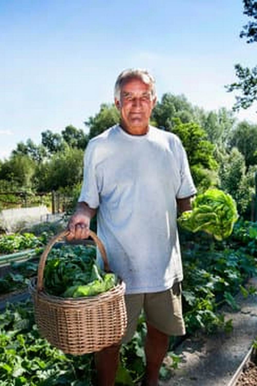 Growing Seasonal Crops in Central Texas