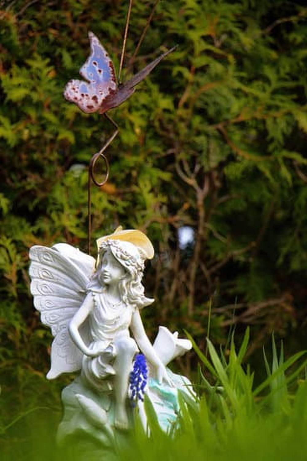 BEST COVER CROPS FOR VEGETABLE GARDENS