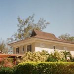 Vibrant and bountiful raised bed vegetable gardens showcasing natural beauty