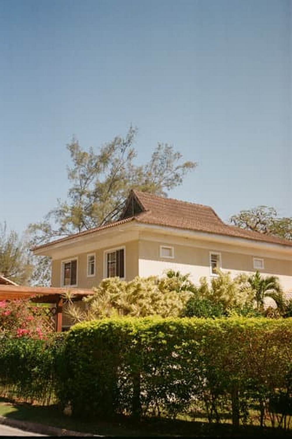 Vibrant and bountiful raised bed vegetable gardens showcasing natural beauty