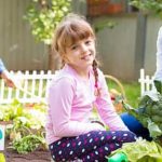 Lush vegetable gardens project showcasing sustainable gardening practices in urban areas