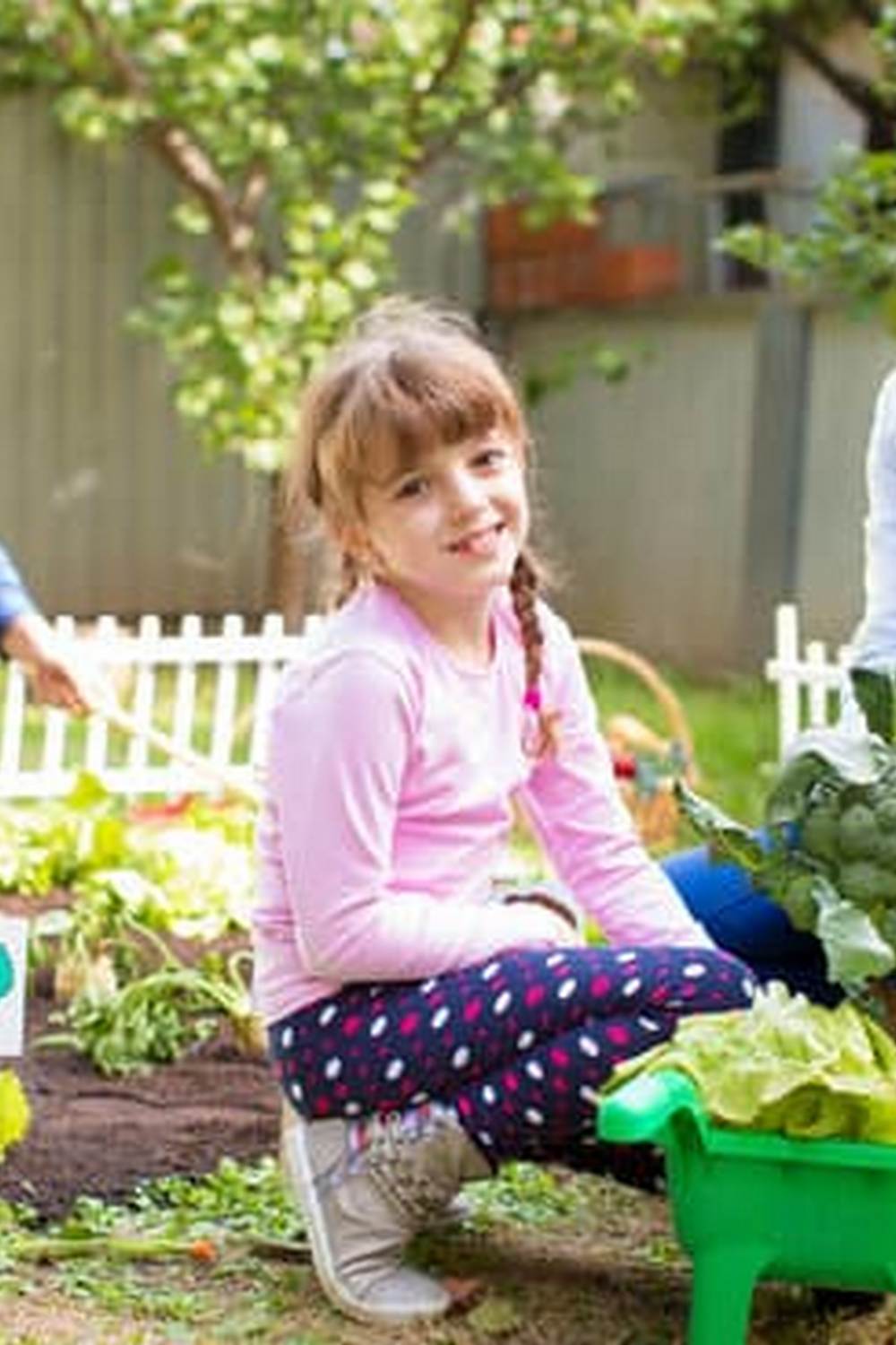 Lush vegetable gardens project showcasing sustainable gardening practices in urban areas