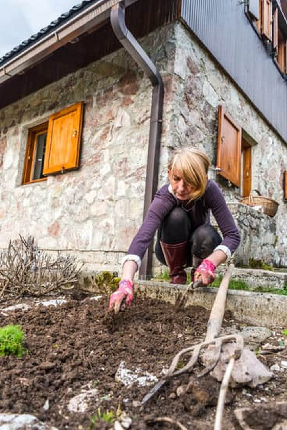 Best Choices for Your Garden