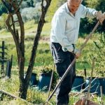 Bears playfully forage in vibrant vegetable garden