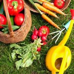 maximize space, increase yields, and promote natural pest control