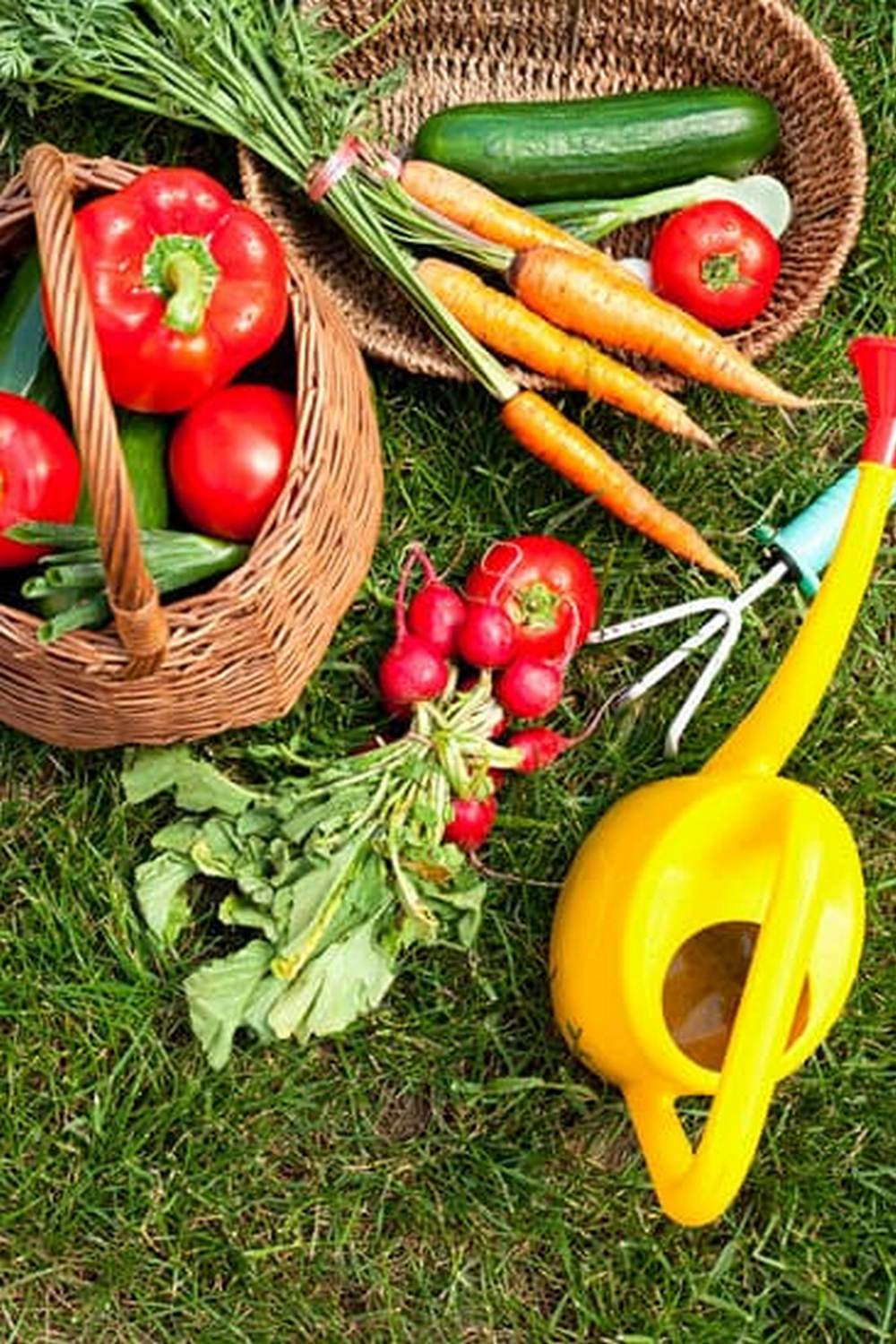 maximize space, increase yields, and promote natural pest control