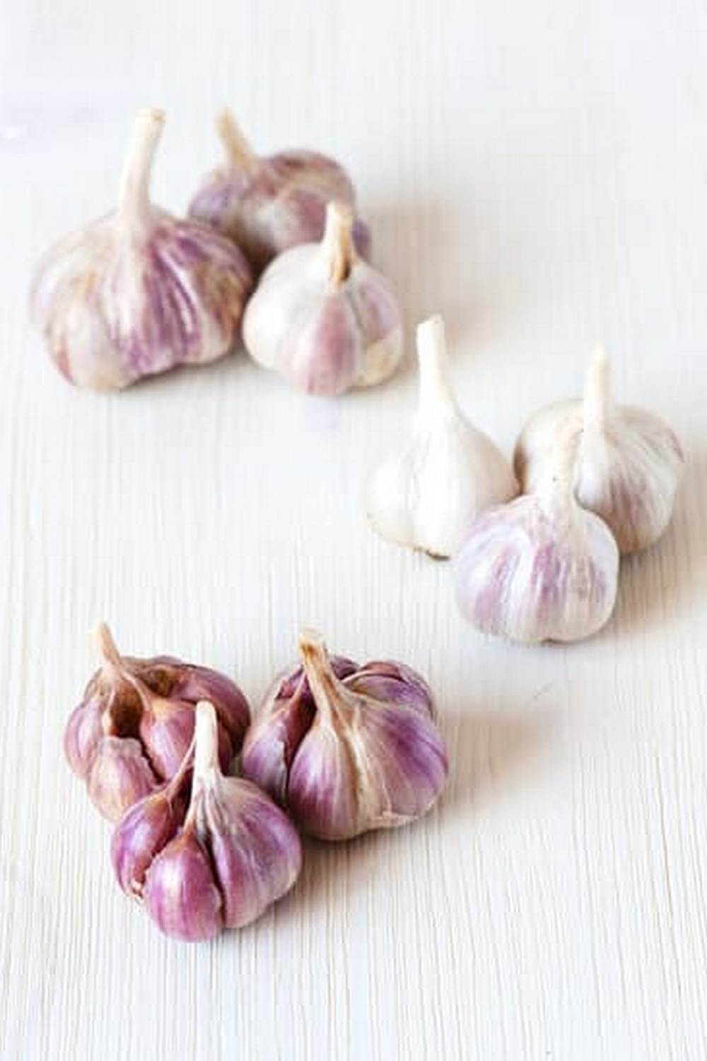 Vibrant and productive vegetable garden in Boise, Idaho with a variety of crops