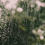 Maximize space with vertical gardening for growing vegetables in small gardens - space-saving techniques for bountiful harvests