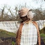 lush vegetable gardens at Bunnings