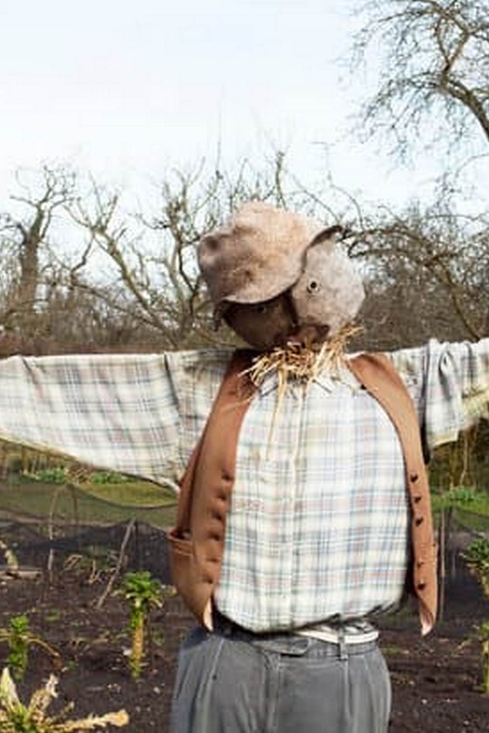 lush vegetable gardens at Bunnings