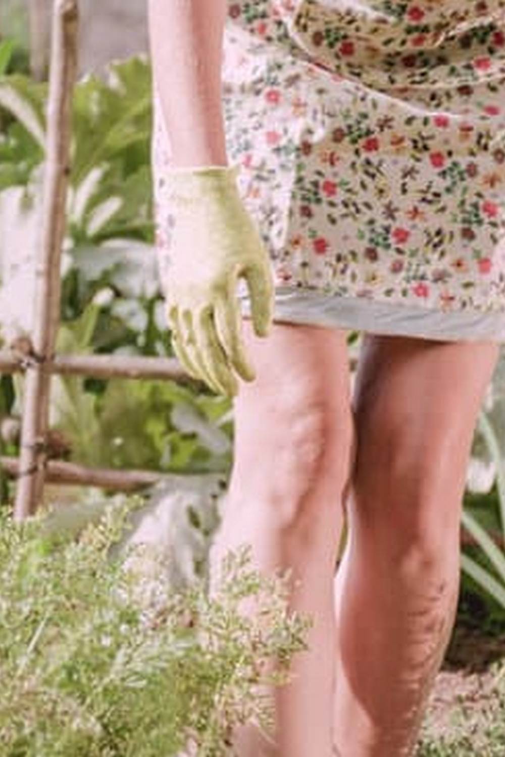 Why Are Wood Chipped Mulches Not Used in Vegetable Gardens 1 impact on soil pH & nutrient levels