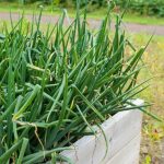 comprehensive review