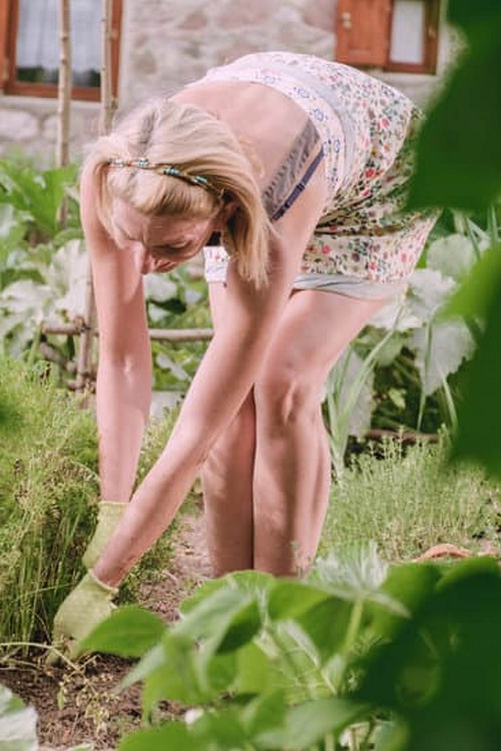 Thriving Community Vegetable Gardens in Chicago, Growing Together
