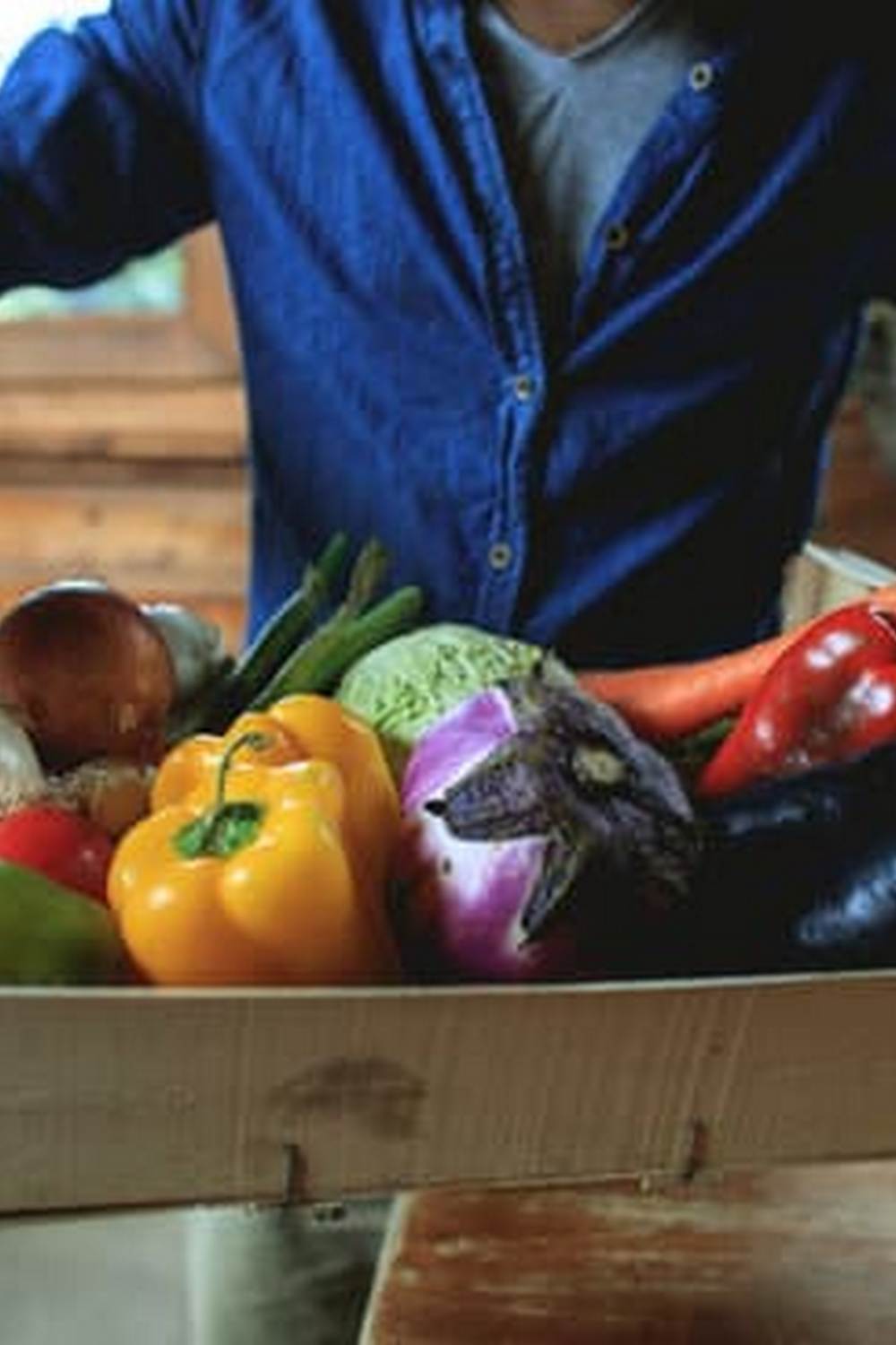 The Role of Gardening Vegetables and Spices in Ecosystems - Competitors and Cooperation in Plant Relationships