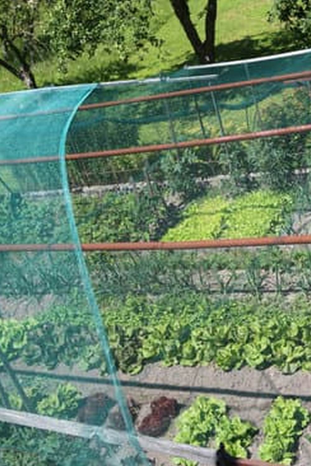 A secure and productive space for growing fresh produce at home