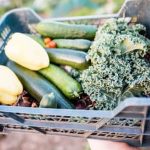 Vertically stacked containers for growing vegetables in a garden