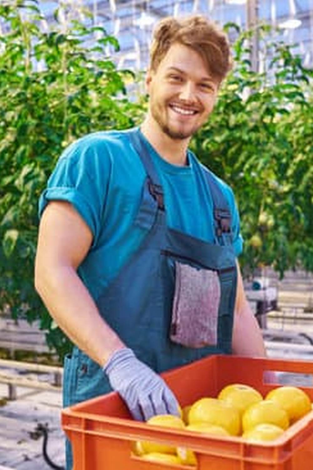 Gardens Pro Pine Bark Mulch for Vegetable 1 Healthy vegetable gardens benefit from GARDENS PRO Pine Bark Mulch for optimal growth and moisture retention