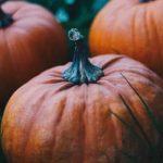 Growing vegetables in the lush, rainy climate of Western Washington's gardens - Gardening in Western Washington Vegetables