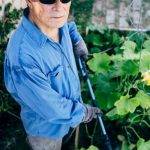 Plan Your Florida Vegetable Garden with our Seasonal Gardening Schedule