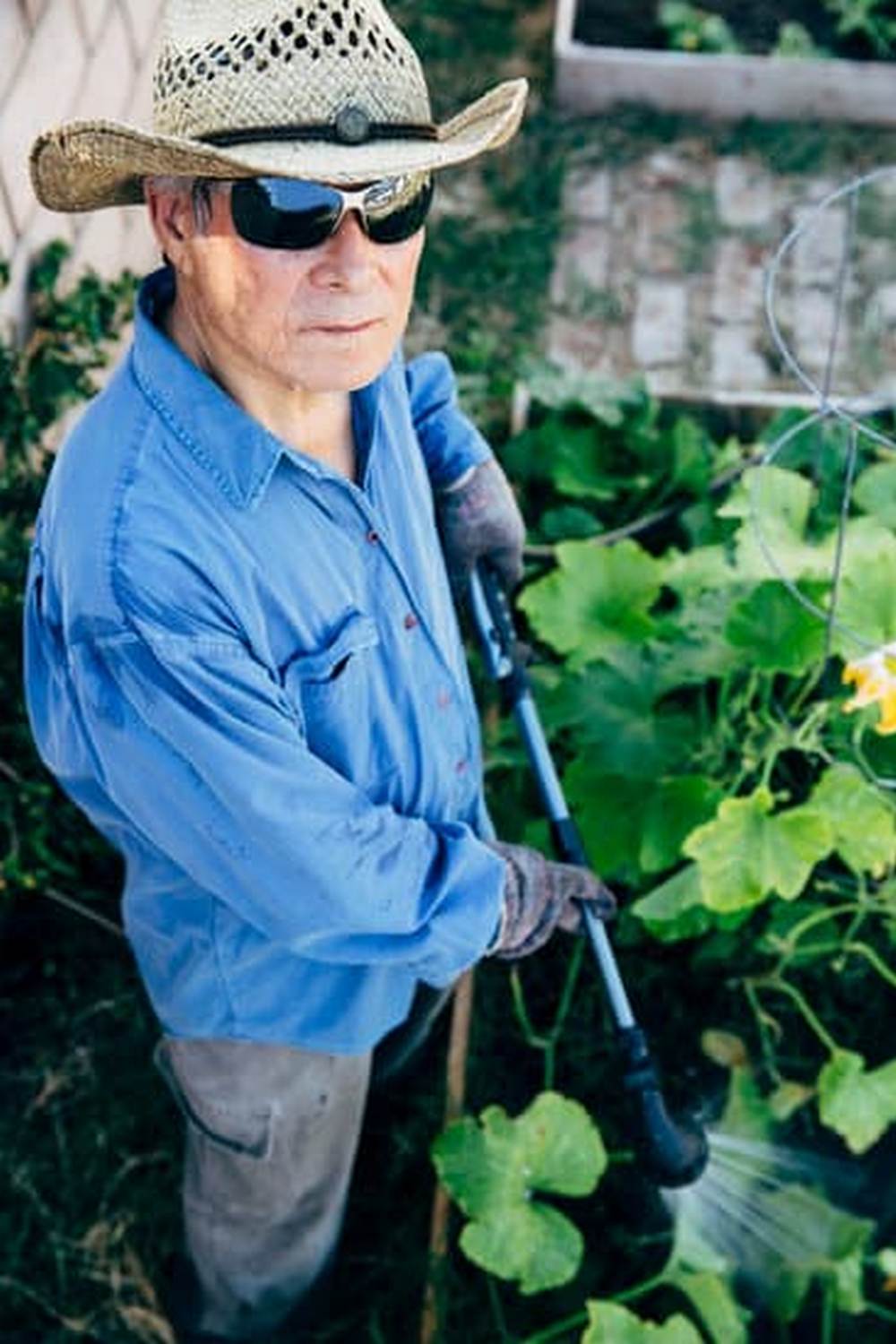 Plan Your Florida Vegetable Garden with our Seasonal Gardening Schedule