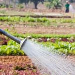 Stunning raised vegetable garden inspiration on Pinterest. #raisedvegetablegardens #Pinterest