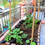 Vegetable Gardening in Middle Tennessee soil, climate, and plant selection