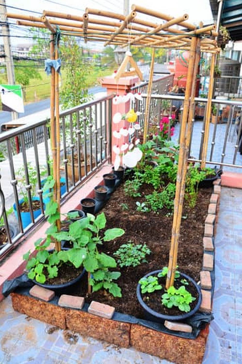 soil, climate, and plant selection