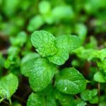 Common Issues and Solutions