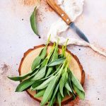 The Essential Resource for Successful Plant Pairing