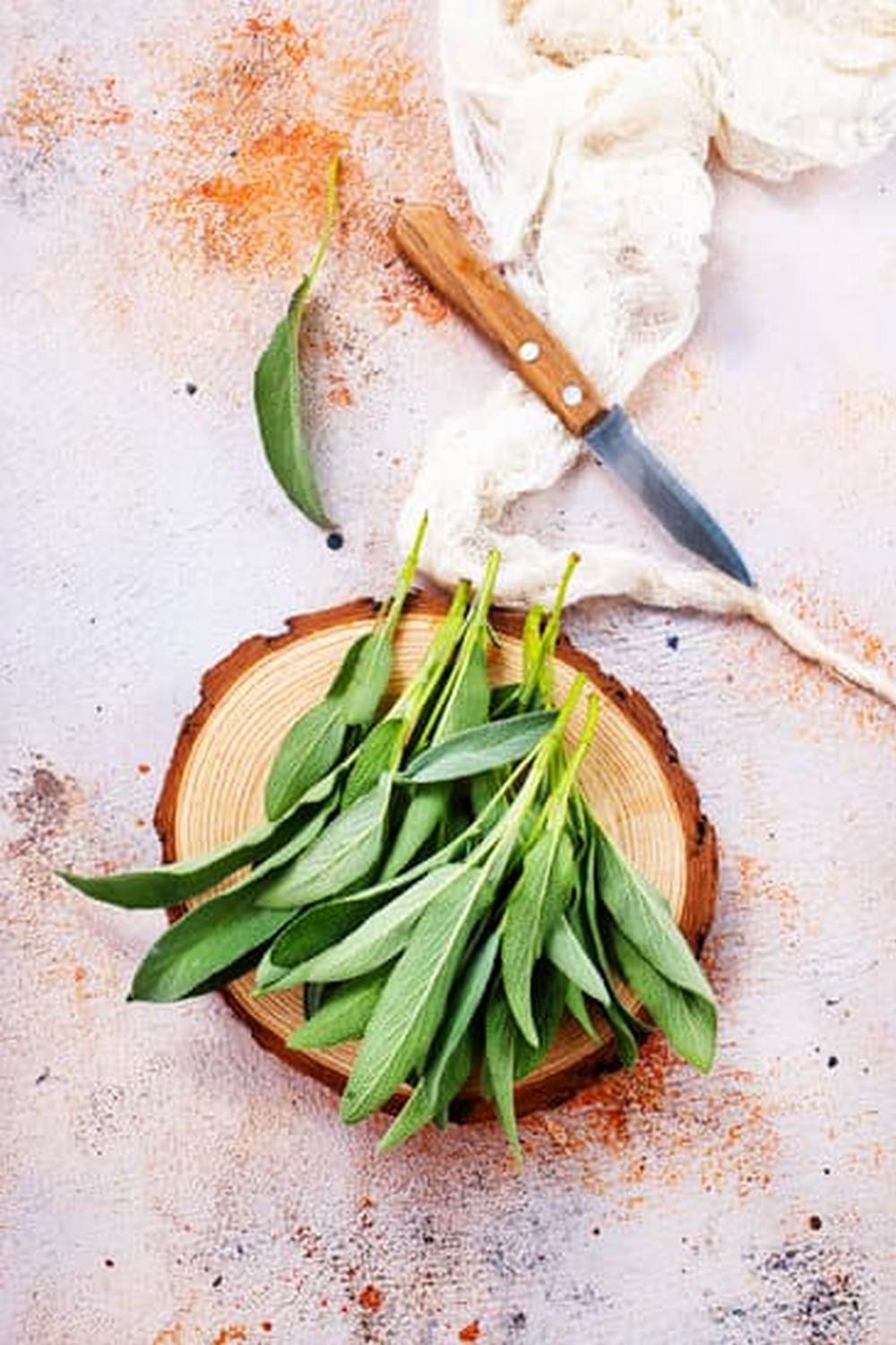 The Essential Resource for Successful Plant Pairing