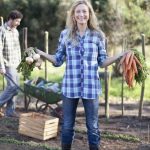 Comprehensive How-to Guide for Novice Gardeners