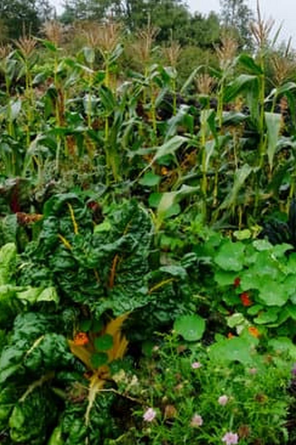 a beginner's guide to success