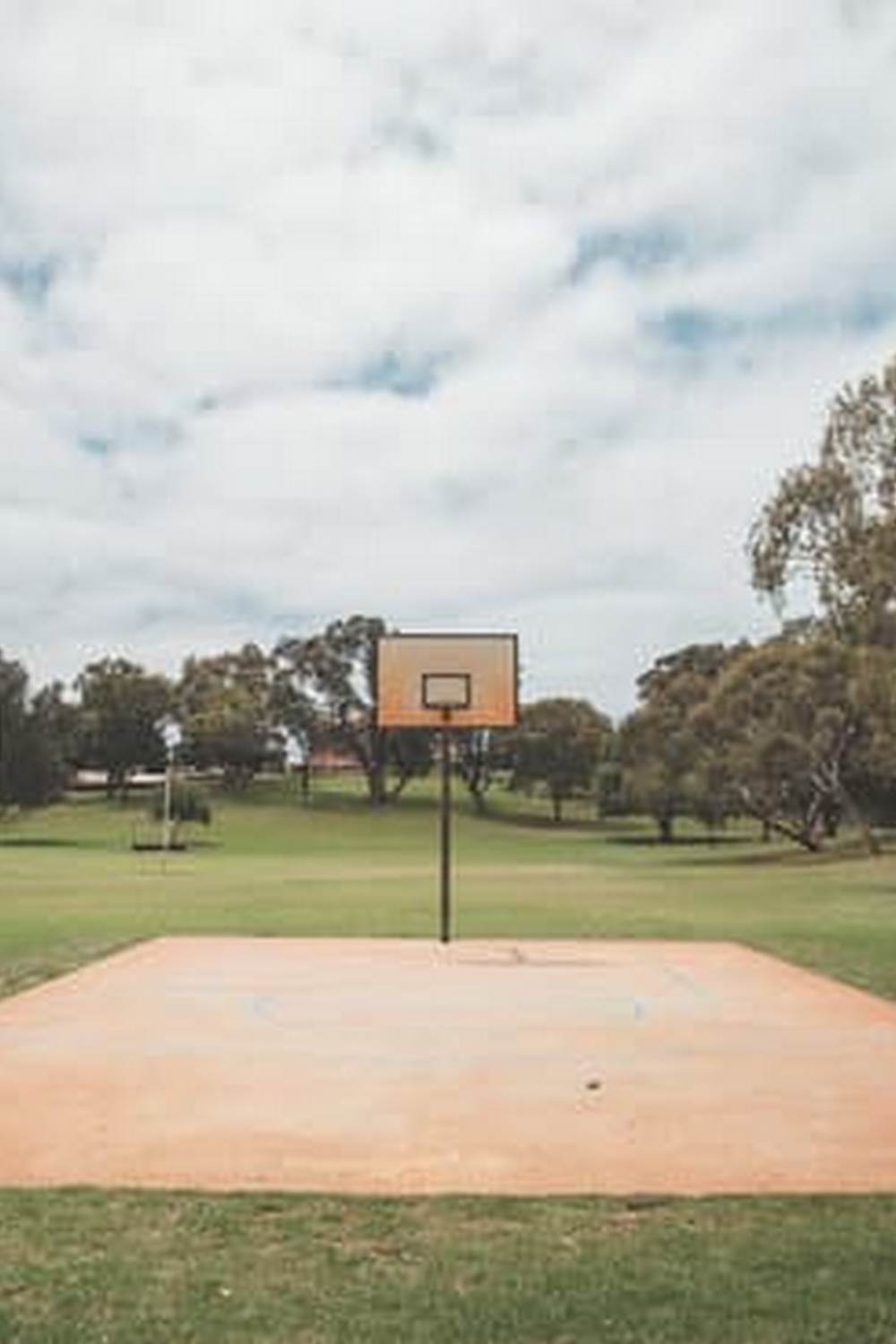 High-quality organic fertilizer, Expert Gardener Organics 17lb Vegetable & Tomato Food, for thriving crops