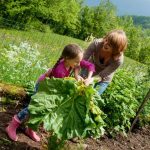 What Kind of Mulch Is Best for Vegetable Gardens Organic compost for nourishing soil and suppressing weeds