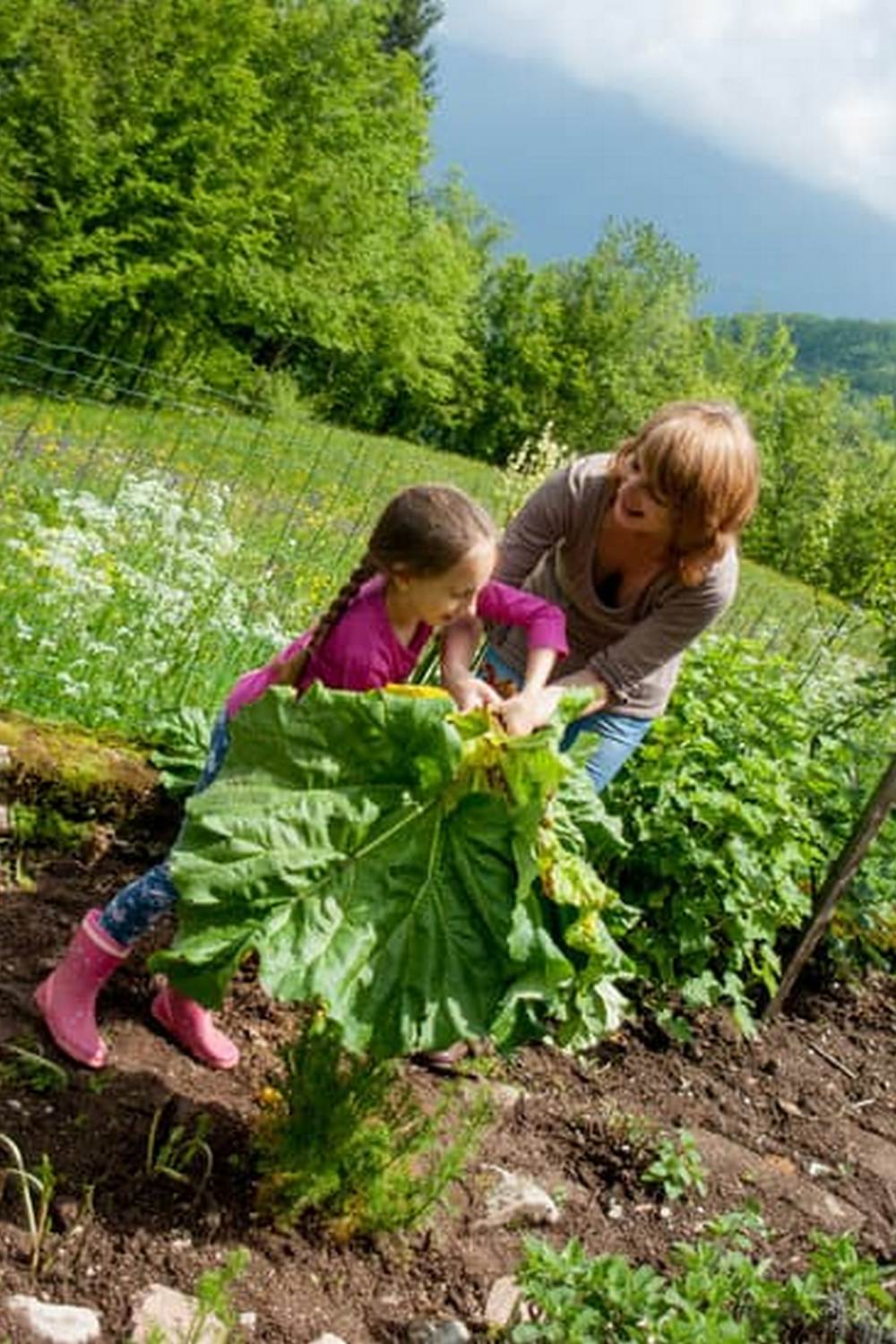 Organic compost for nourishing soil and suppressing weeds