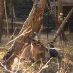 Explore lush vegetal gardens in San Francisco