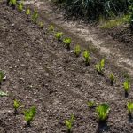 essential guide for beginners