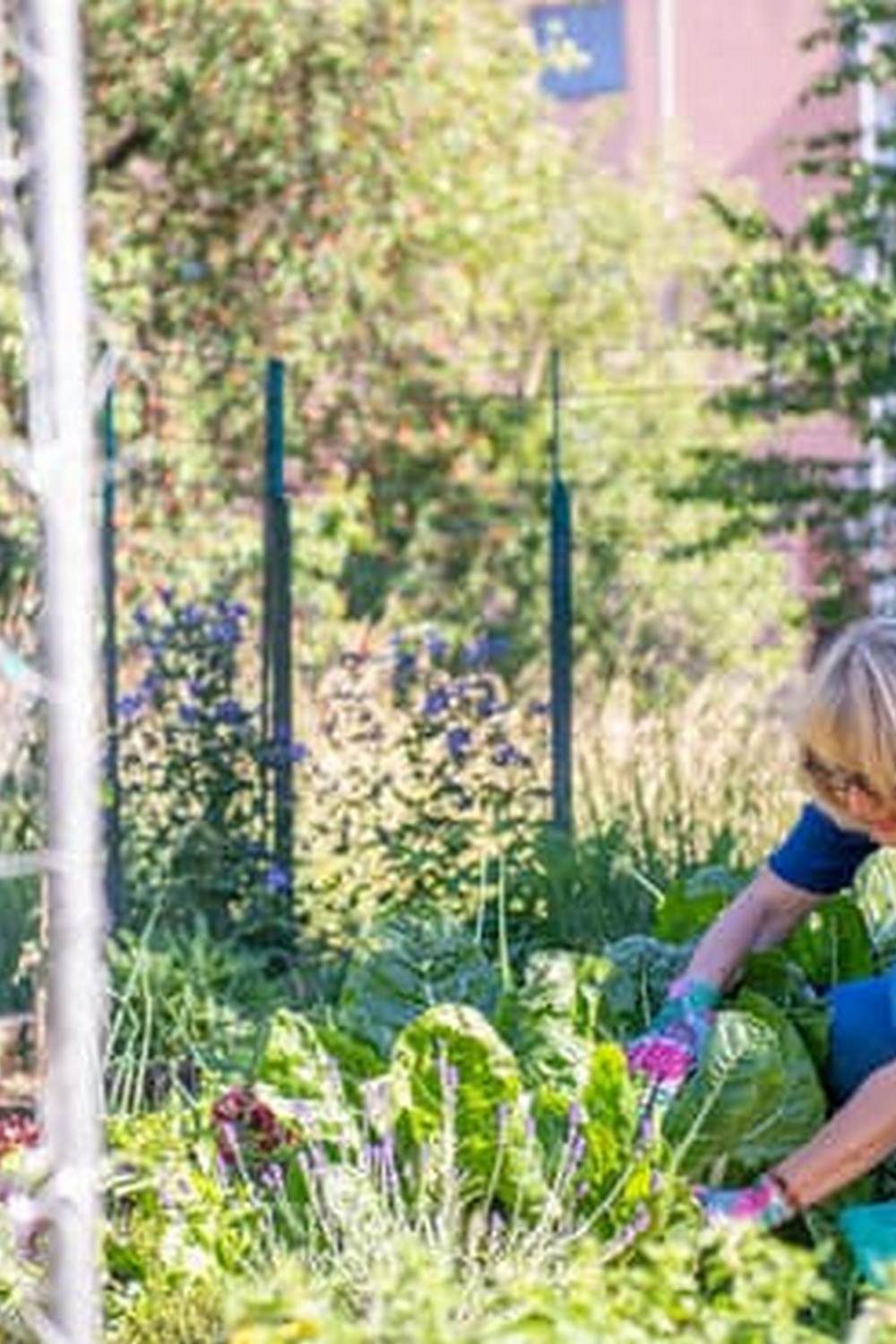 Colorful selection of wild gardens plants and vegetables in nature-inspired garden design