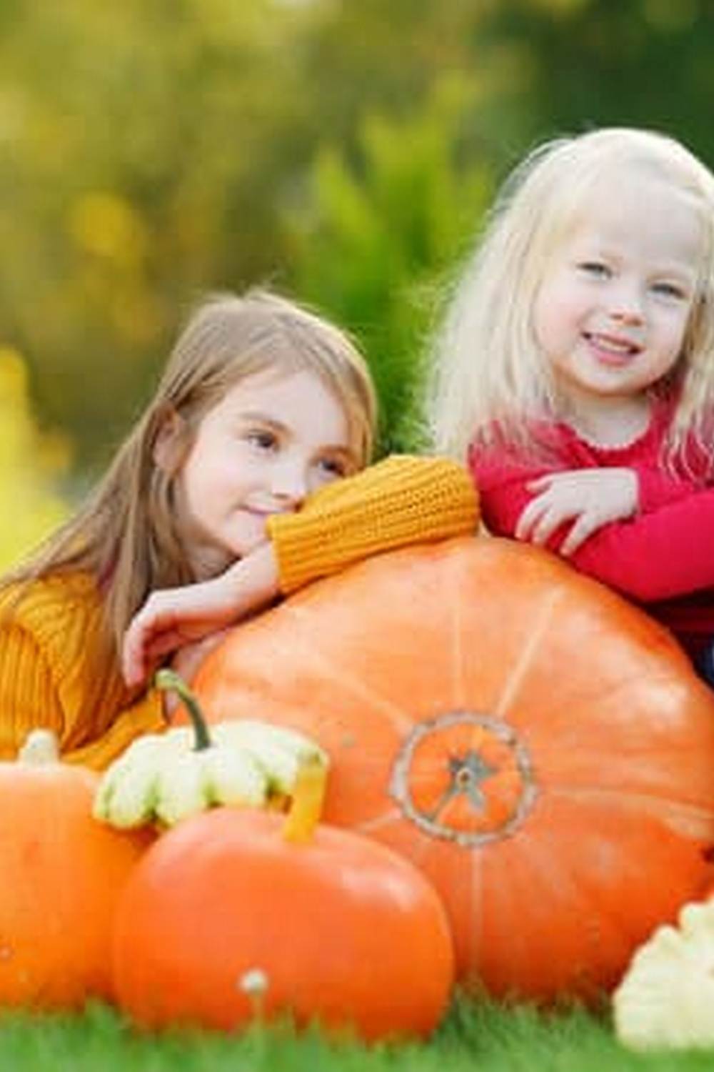 Boost Growth and Yield