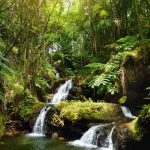 Beautiful Vegetable Garden Design in Gardening Australia