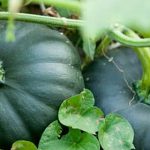 What You Need to Know