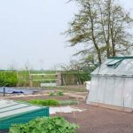 Organic fertilizer Milorganite benefits vegetable gardens with natural, nutrient-rich soil amendment