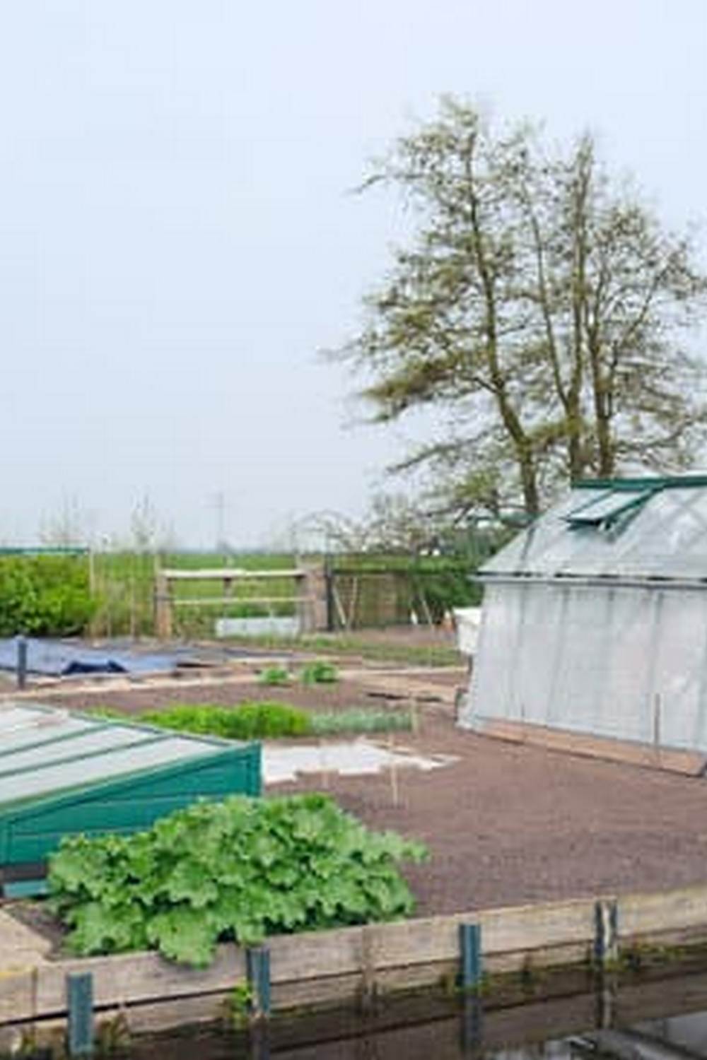 And Vegetable Gardens — Vegetable Gardening News