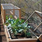 Good Cover Crops for Vegetable Gardens