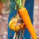 Sustainable Practices for a Thriving Garden