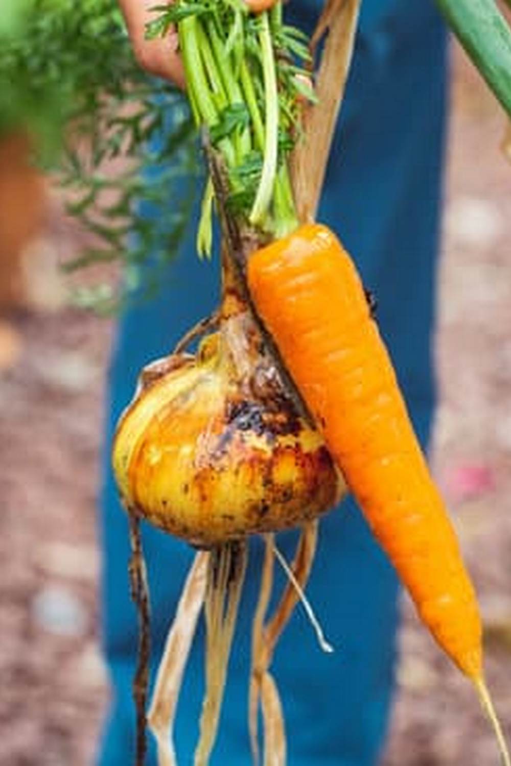 Sustainable Practices for a Thriving Garden